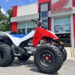 2026 Honda TRX250X for Sale